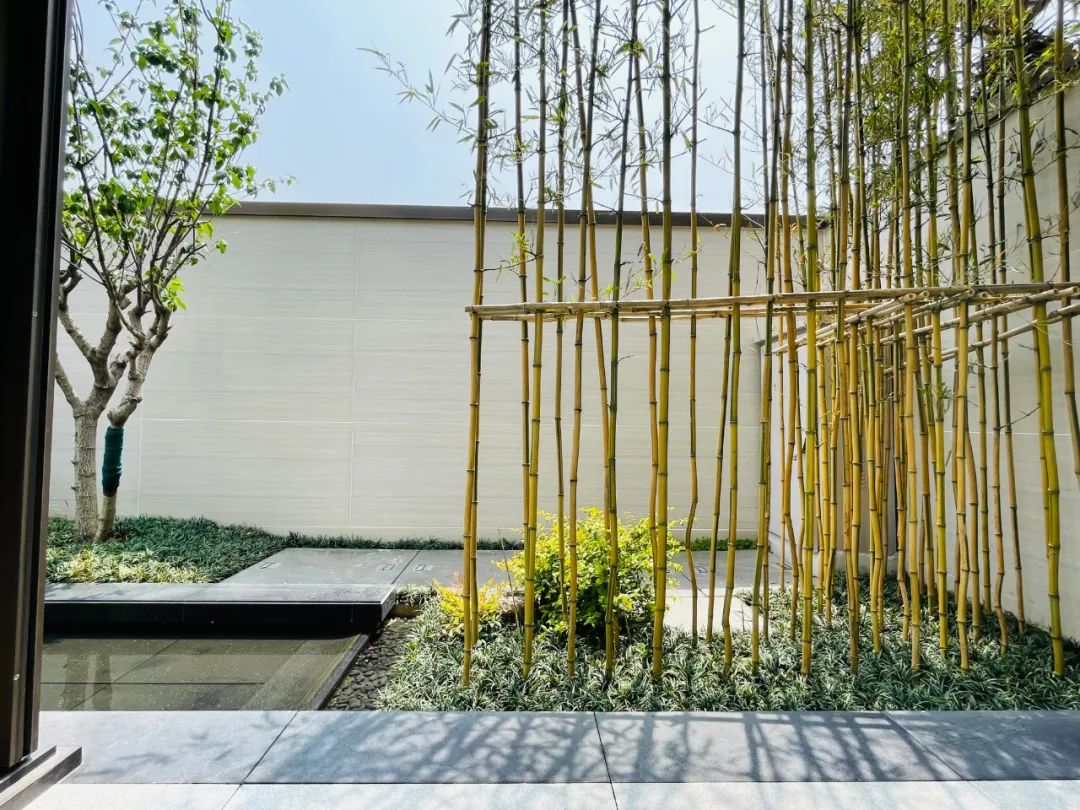 待走过人世间的拥挤.jpg 待走过人世间的拥挤.jpg