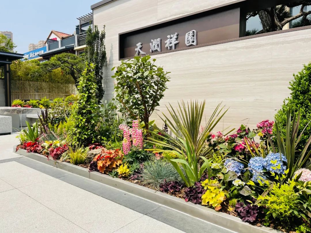 或许生活本来就是一首诗.jpg 或许生活本来就是一首诗.jpg