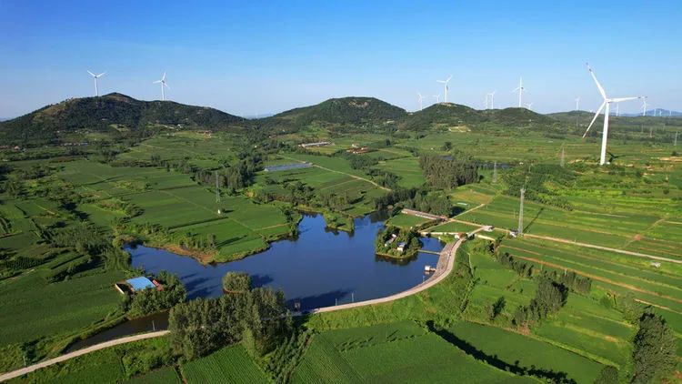 一方水土,一方风物。那被2.jpg 一方水土,一方风物。那被2.jpg