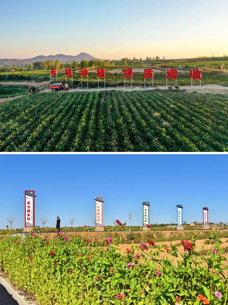 一方水土,一方风物。那被3.jpg 一方水土,一方风物。那被3.jpg