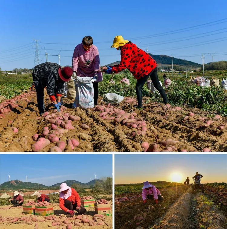 一方水土,一方风物。那被5.jpg 一方水土,一方风物。那被5.jpg