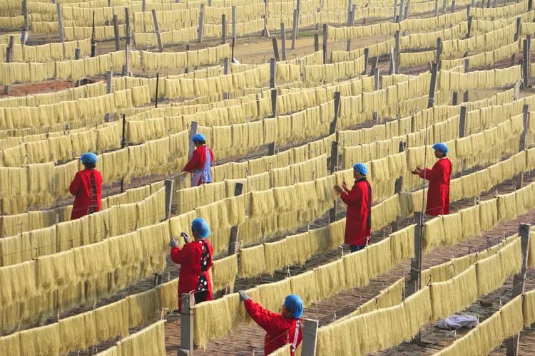 龙门薯院里,一顿红薯宴,我.jpg 龙门薯院里,一顿红薯宴,我.jpg