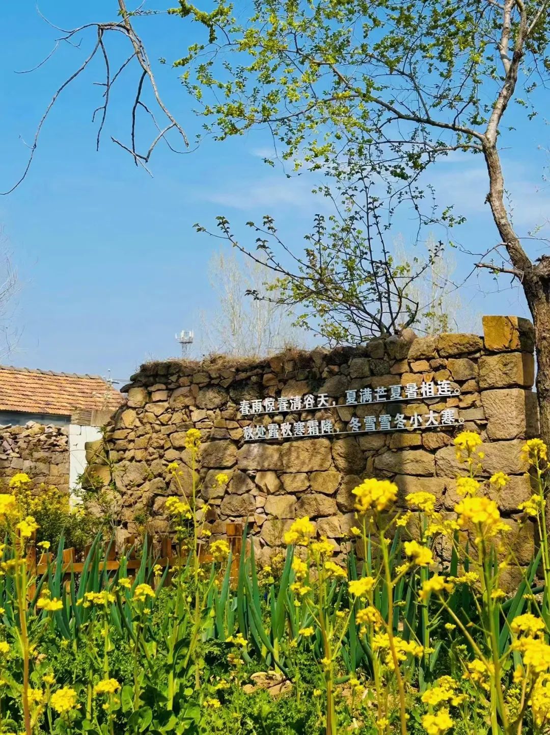 慢节奏的乡村生活12.jpg 慢节奏的乡村生活12.jpg