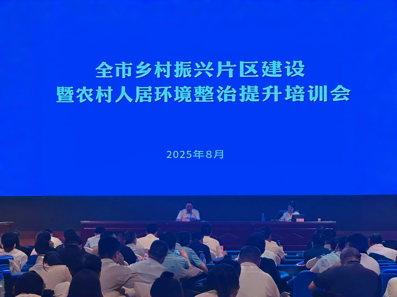 以专业赋能乡村振兴.png